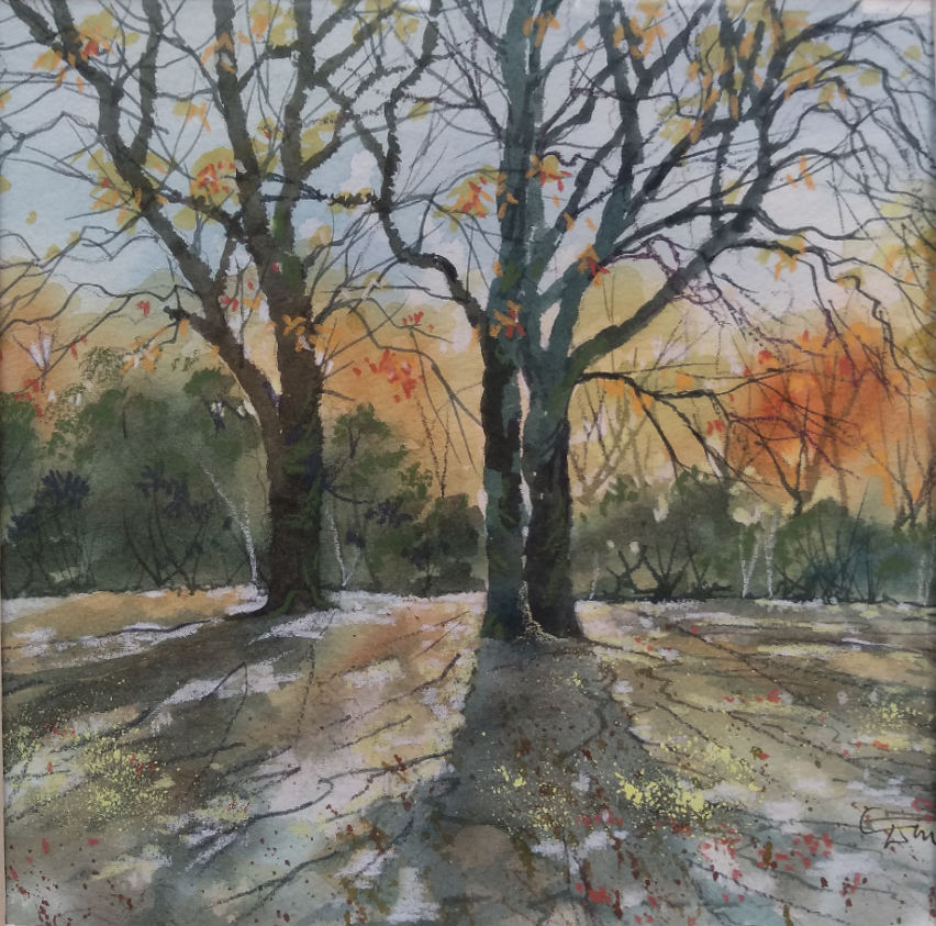 Trees, Worthington Park, Sale