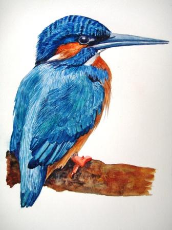 Kingfisher Blue
