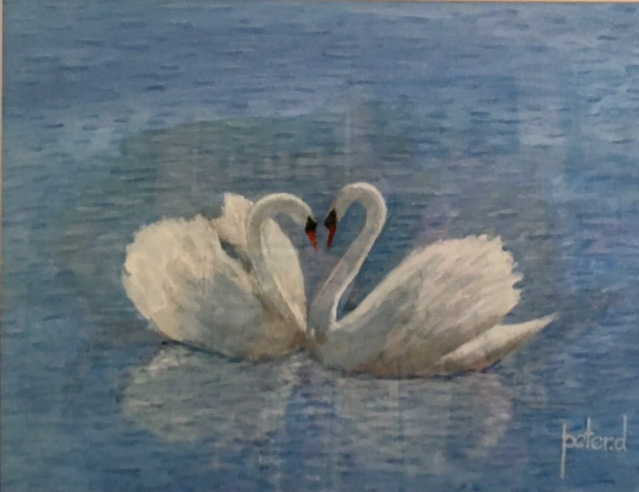 Swans-Mates for Life