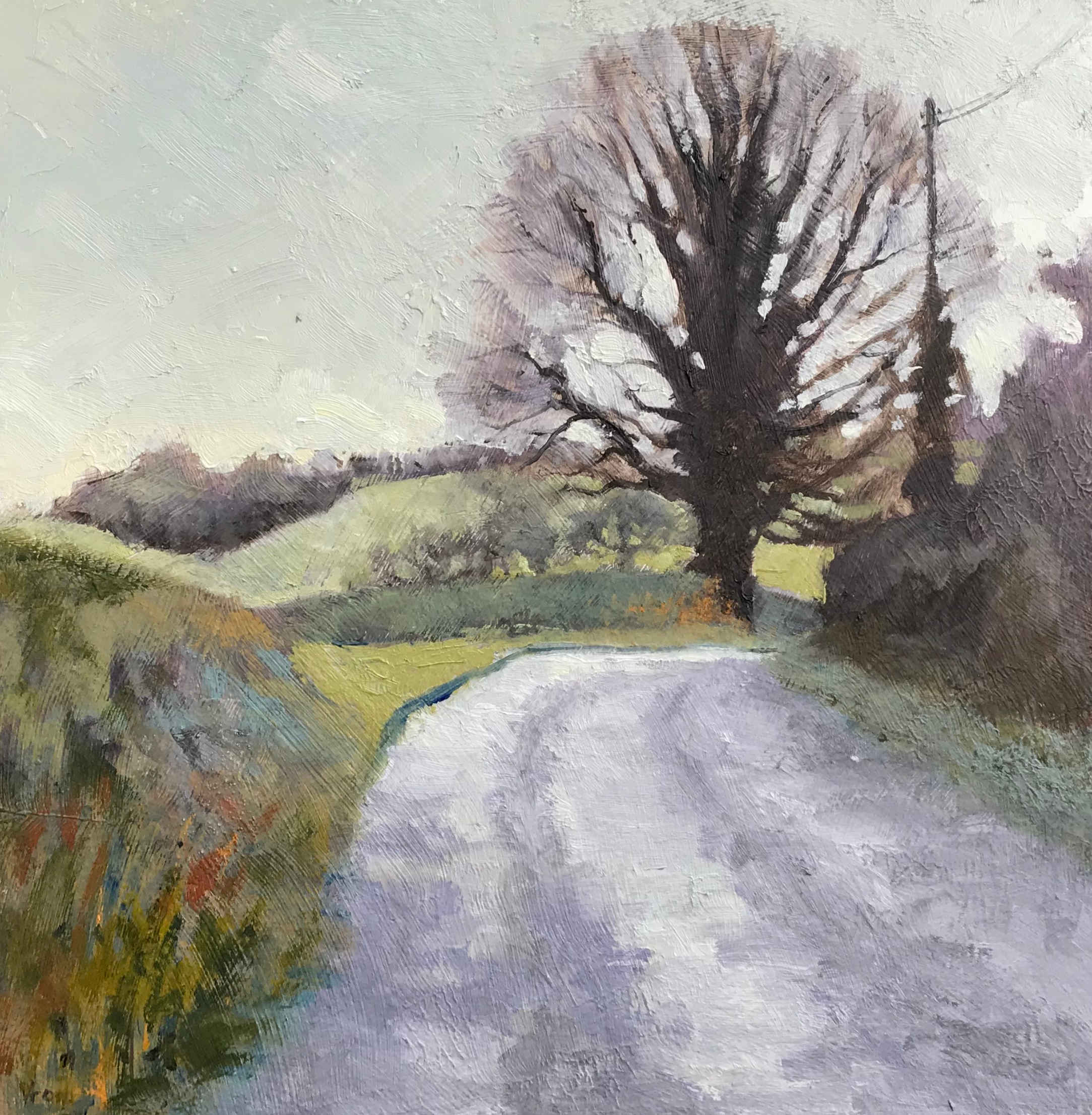 A wet lane in Shropshire