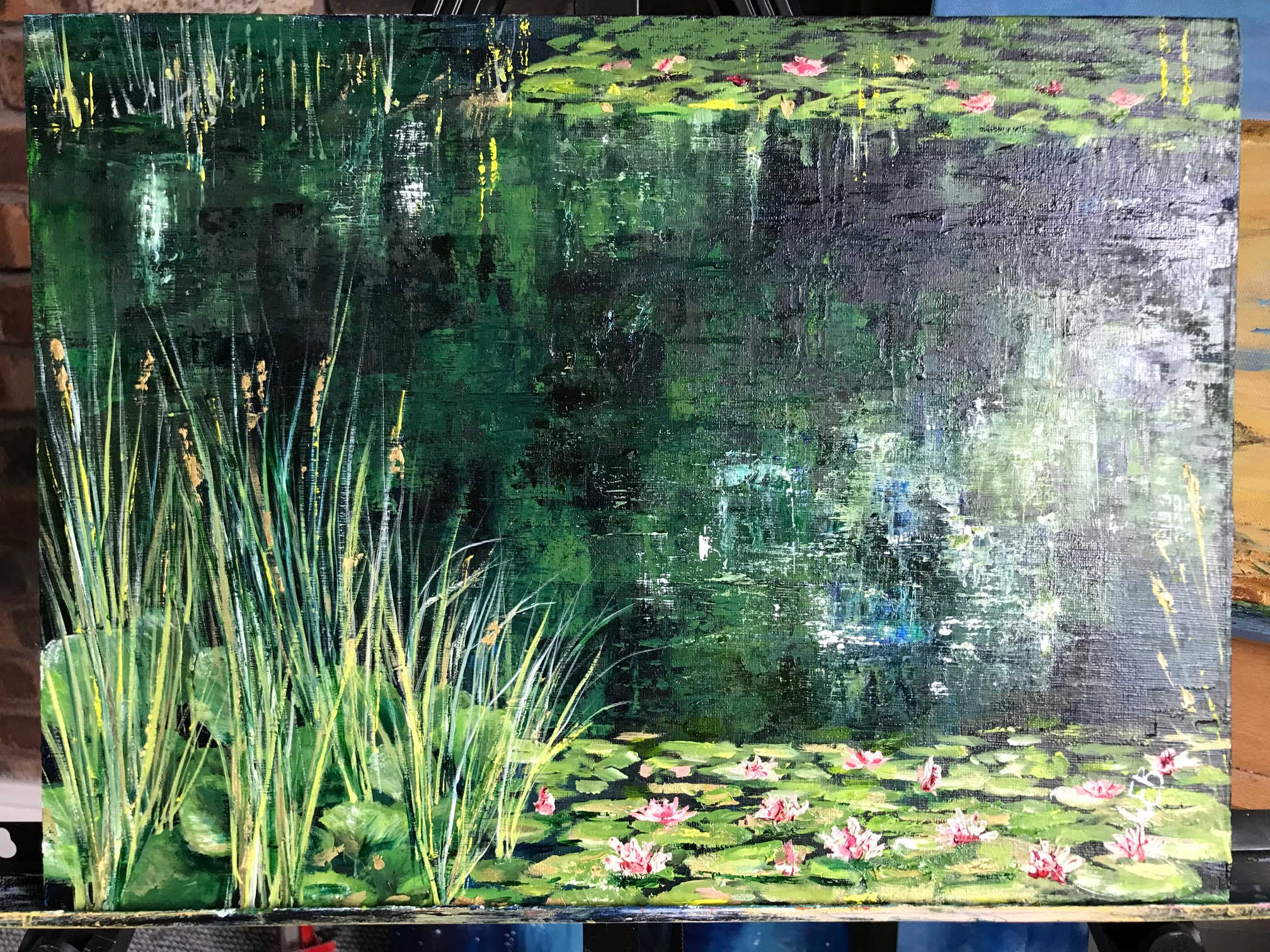 Waterlilies at Grappenhall