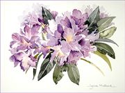 S10FRED TAYLOR CUP (RU) Lynn Mallard - Purple Rhododendron
