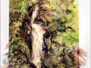 S14OONA LOWSBY AWARD (W) 'waterfall magic' by Ann Roach