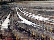 S17COMMENDED 'Wet Winter Field' by Veronica mcDermott