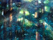 S20249 ) PETER COATMAN TROPHY - WINNER  . 'FOREST LIGHT'- by JACKIE BEVIS