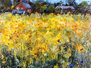 s22COMMENDED 'Dunham Massey Farm sunflower field' by Pat Brown