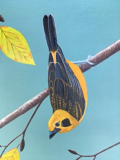 golden tanager